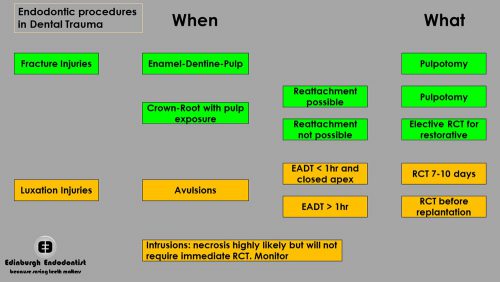 Endodontic Procedures in Dental Trauma